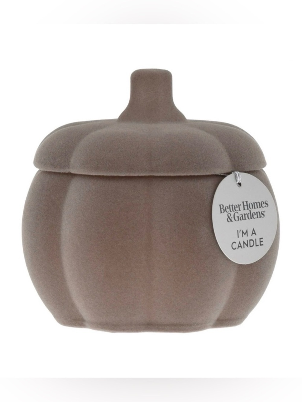 Better Homes And Gardens Pumpkin Snickerdoodle Swirl Scent Flocked 2 Wick Candle